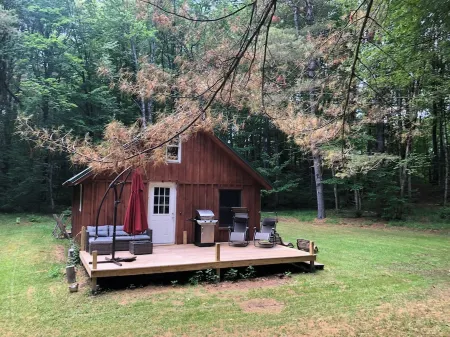 Off Grid Cabin In The Woods.