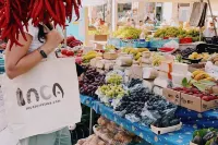 CVMRenta Inca. ca na cati