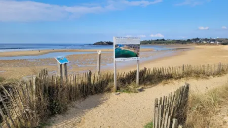 At the foot of Plage de la falaise