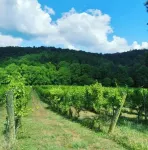 Cozy 2 bedroom Cabin w/hot tub!