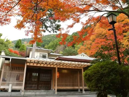 Oku Yugawara Tsubaki