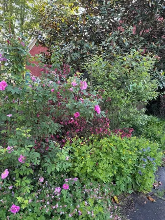 Historic center of the city