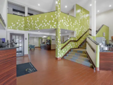 Sleep Inn Near Busch Gardens - USF Hotels in Tampa