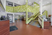 Sleep Inn Near Busch Gardens - USF Hotels in Tampa