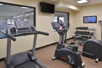 Holiday Inn Express & Suites DEARBORN SW - DETROIT AREA by IHG - Gym