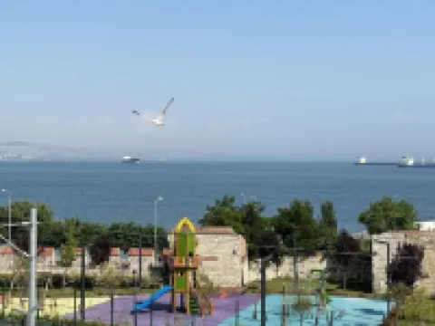 Queen Seagull Boutique Hotel