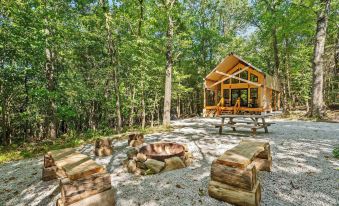 Hidden Hollow - Desirable Ozark Glamping!