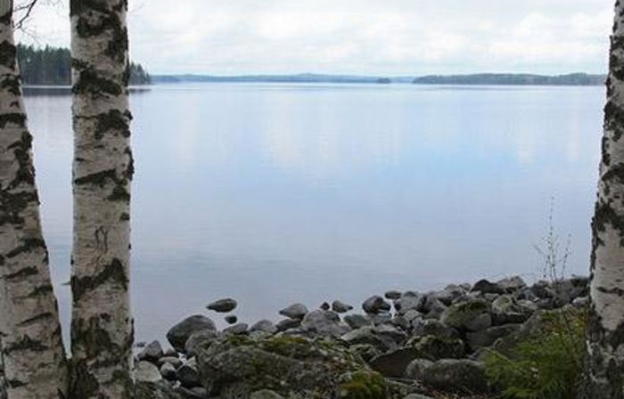 Mäntyniemi