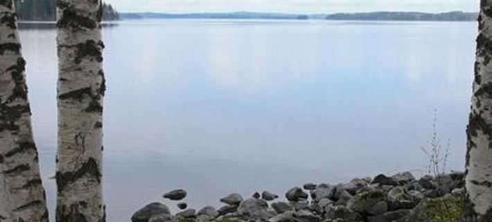 Mäntyniemi Hotels in Asikkala