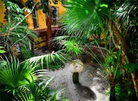 Casa de Los Sueños Hotel Boutique Hotels near Ruins of the Temple of The Goddess Ixchel