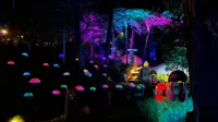 Grafika Cikole Resort Lembang - 2 Yıldız