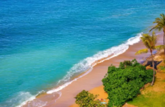 Kbm Resorts Free Car Sands of Kahana Ocean View 3-Bedroom Condo Penthouse Recently Remodeled Sok-292