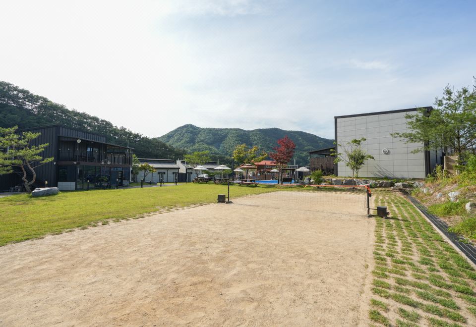 보은 레어모스