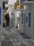 Dina's Rooms