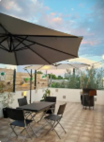 塞雷娜蘇伊帕查