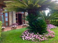 Villa Minuta Hotels in Scala