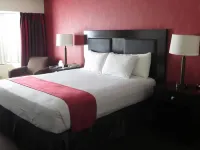 Primm Valley Hotel & Casino, a Travelodge by Wyndham Hotels in Primm