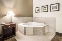 Comfort Inn & Suites DeLand - Near University