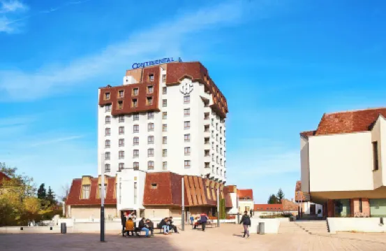 컨티넨탈 포럼 트르구무레슈  호텔