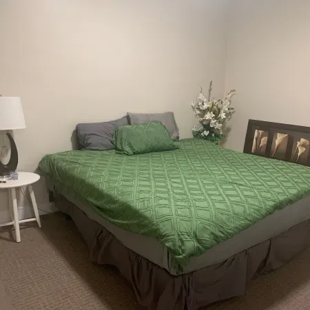 Renovated 2 Bedroom Apt Central Hamilton