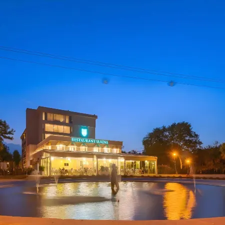 Hotel Sulina International