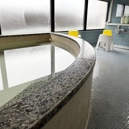 Business Hotel Omika Отели в г. Хитати