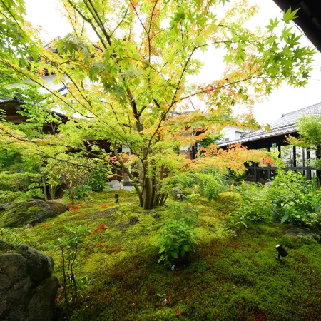 Suginoya