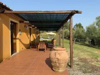 House / Villa - Cetona - piscina