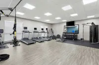 Hampton Inn by Hilton Huntley Chicago - Gym