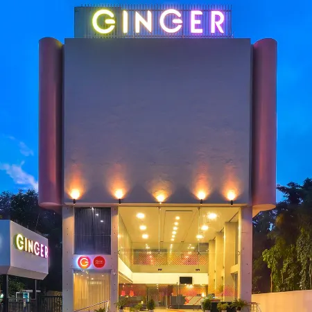 Ginger Bhavnagar