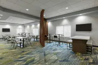 SpringHill Suites Frankenmuth - 3-Star