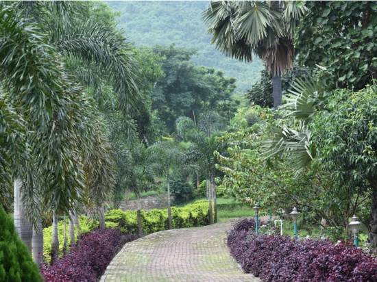 Aranye Dinratri Tourism Project Room Reviews Photos Purulia 2021 Deals Price Trip Com