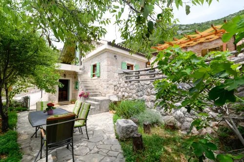 Traditional Stone House Adrian - Homestays