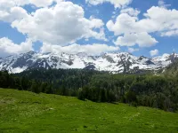 Rustico Dolomia - Homestays