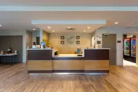 Comfort Inn & Suites East Ellijay Hotels in East Ellijay