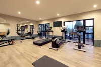 約翰內斯堡/桑頓凱悅嘉寓飯店 - 健身房