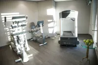 阿什拉菲耶皇家鬱金香酒店 - 健身室/gym room