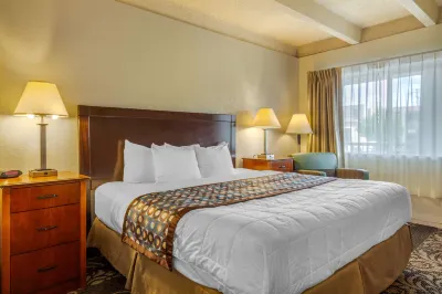 Budget Inn Denver Downtown فنادق في دنفر