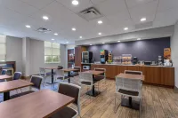 Microtel Inn & Suites by Wyndham Niagara Falls