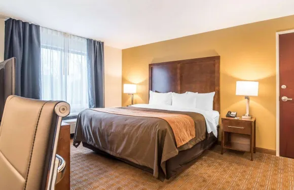 布拉特爾伯勒 I-91 舒適套房酒店