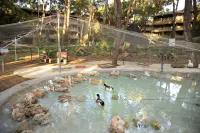 Martı Myra - Ultra All Inclusive - Romantische