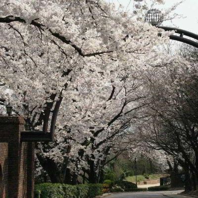 ホテル周辺 グランド ハイアット ソウルの写真