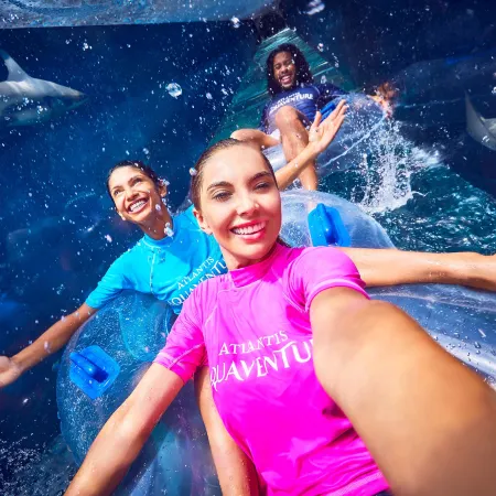 Atlantis, the Palm