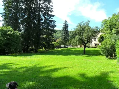 A la Grenouille du Jura Hotels in Maillat