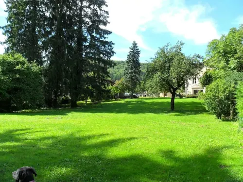 A la Grenouille du Jura Hotel a Bellignat