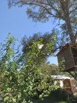 Daidala Life فنادق في Inlice Mahallesi