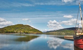 Brambles of Inveraray