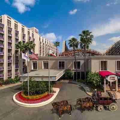 Knott's Hotel Hotel Exterior