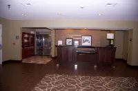 Hampton Inn & Suites Hobbs - 2-Star