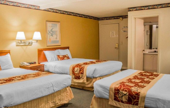 Rodeway Inn